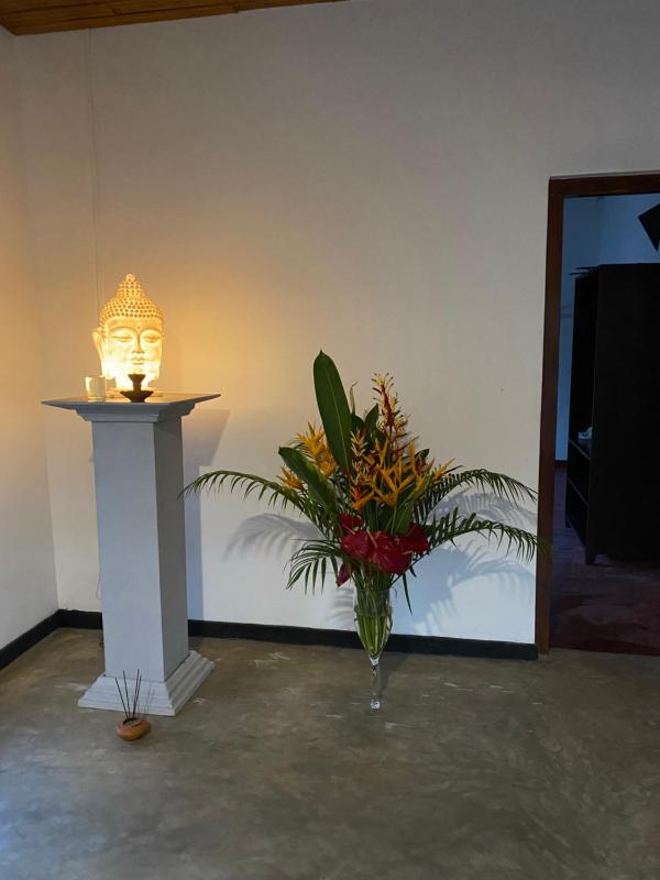 The Calm Palm - image 50