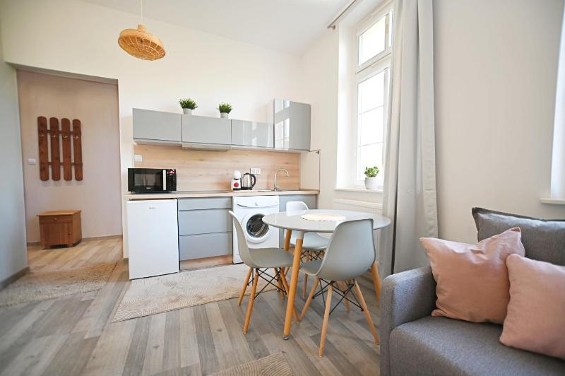 Victus Atrakcyjne Apartamenty Przyjazne Zwierzętom by Noclegi Reters - image 7