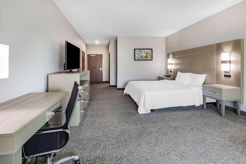 King Room with Mobility Access and Bathtub with Grab Bars, Non-Smoking image 3