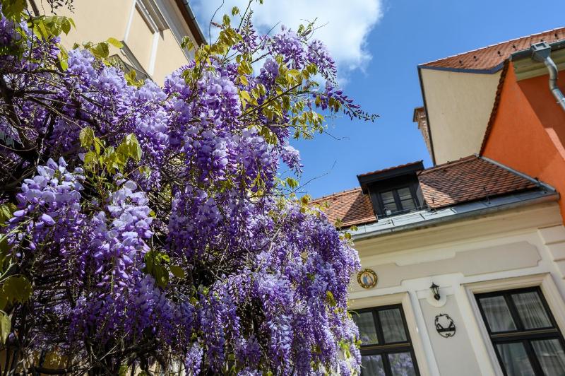 Petite Maison Suite image 4