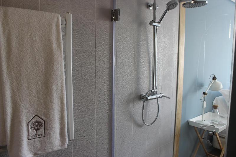 Double or Twin Room image 4