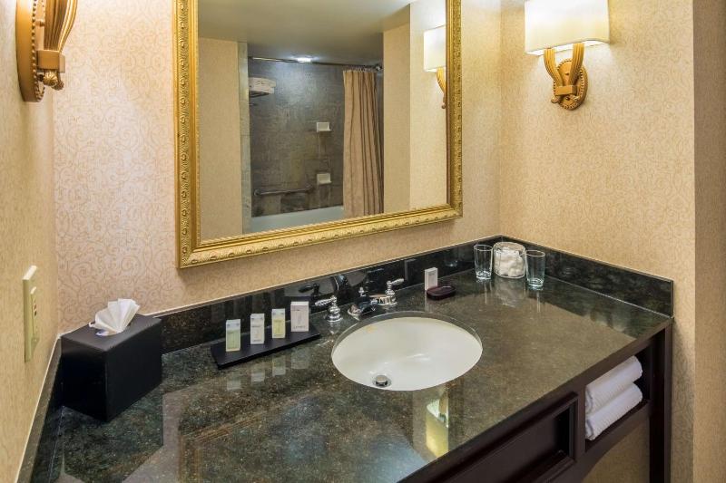 Embassy Suites by Hilton Portland-Downtown - image 21