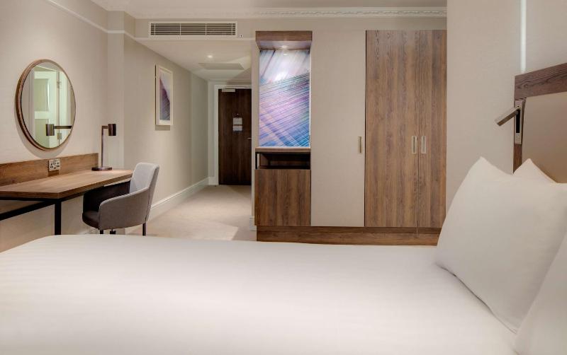 Deluxe King Room image 3