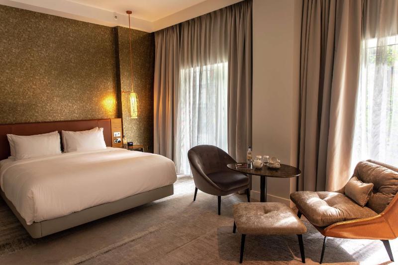 Deluxe King Room image 1