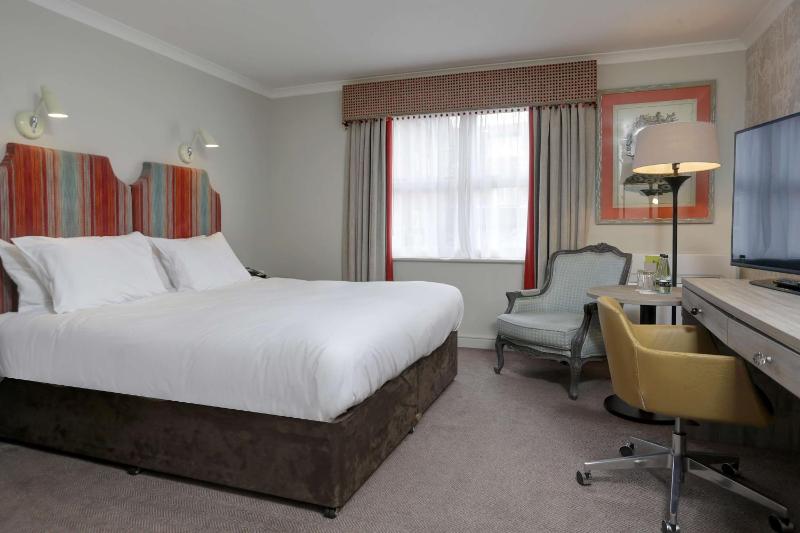 Deluxe King Room image 3