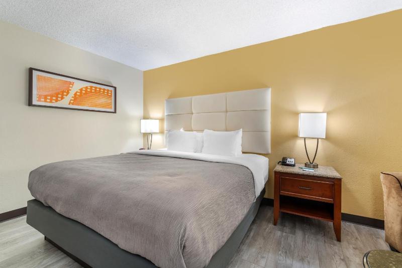 King Room - Non-Smoking/Pet Friendly image 1