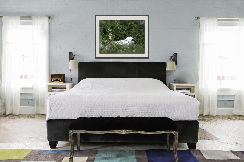 Superior King Room image 1