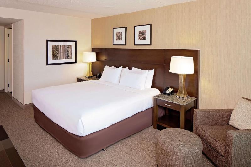 King Room image 1