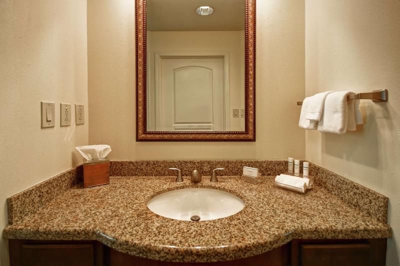 King Studio Suite - Non-Smoking image 3