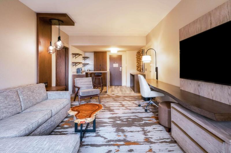 Hilton Denver City Center - image 3