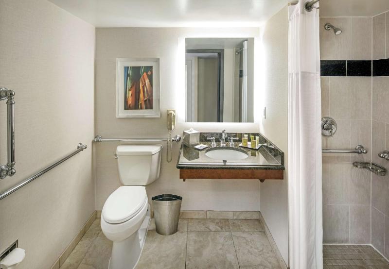 King Room with Roll-In Shower - Mobility Access image 4