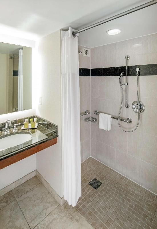 King Room with Roll-In Shower - Mobility Access image 2
