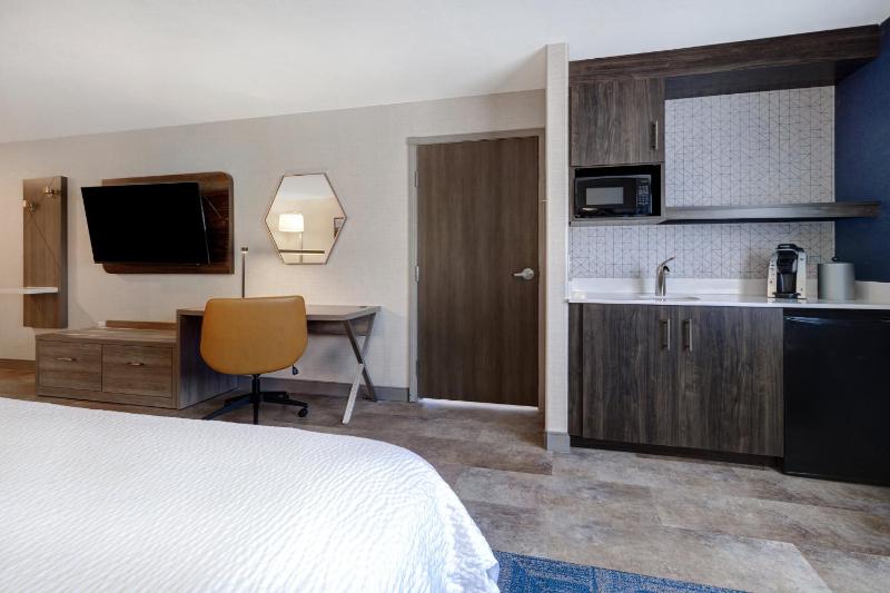 One-Bedroom King Suite with Sofa Bed image 2