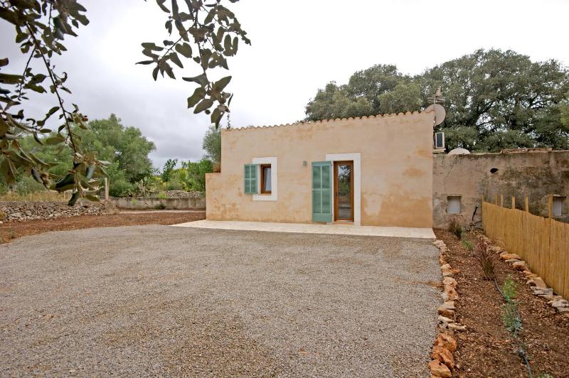 Studio with Terrace image 3