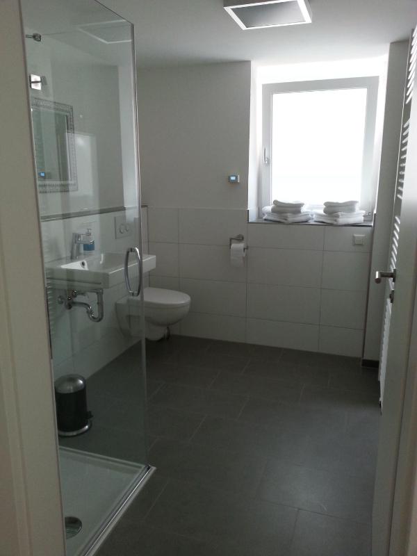 One-Bedroom Apartment image 4