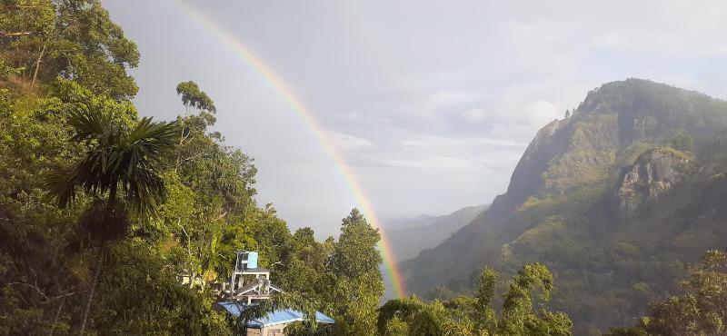Green Village - image 11