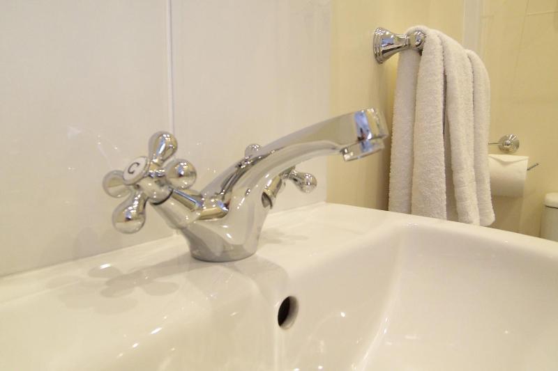 Deluxe Double or Twin Room image 4