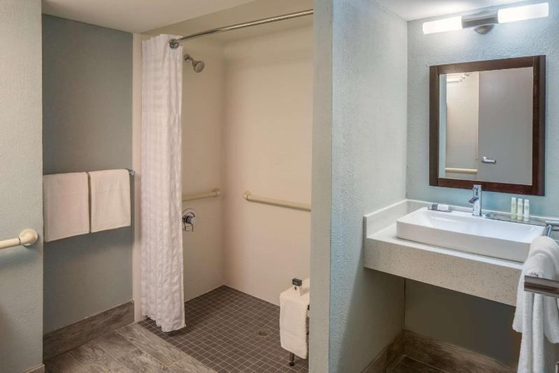 King Room with Roll-In Shower - Mobility Accessible image 3