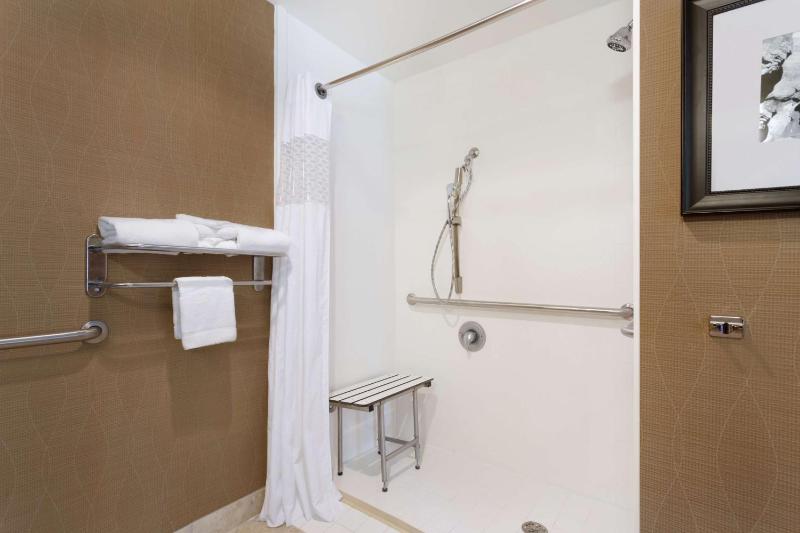 King Studio with Roll-In Shower - Mobility Access/Non-Smoking image 3