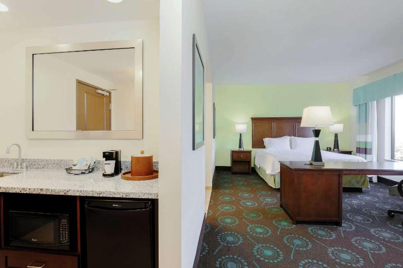 King Studio Suite with Sofa Bed - Non-Smoking image 3
