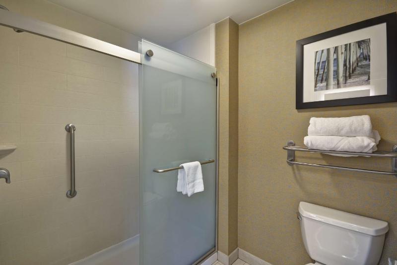 King Studio Suite image 3