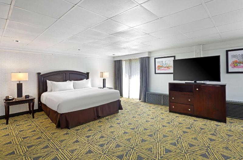 Junior King Suite - Non-Smoking image 2