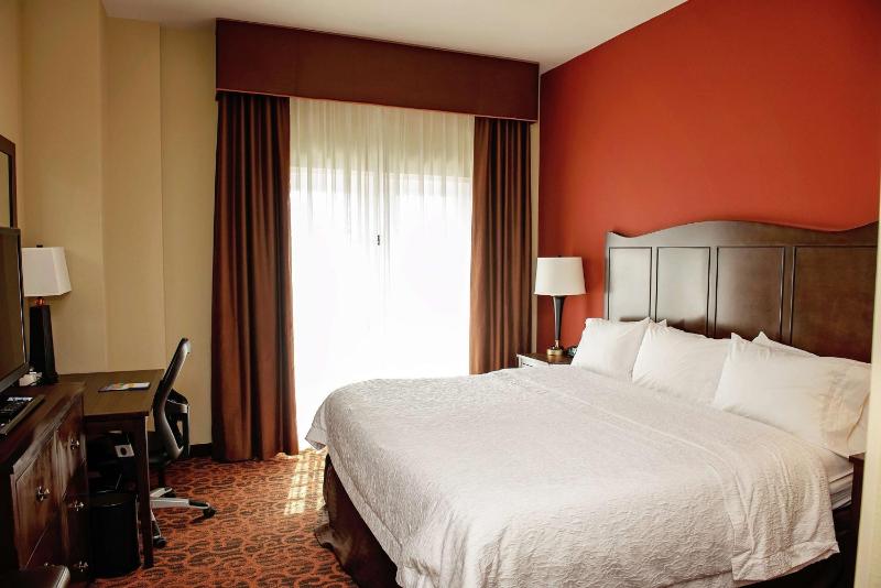 Hampton Inn & Suites Bradenton Downtown Historic District - image 31