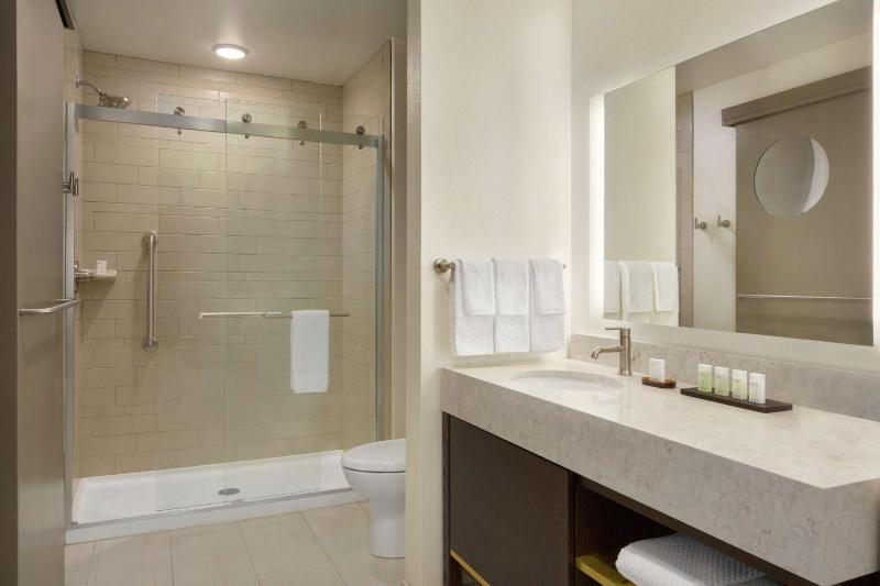 King Studio Suite image 2