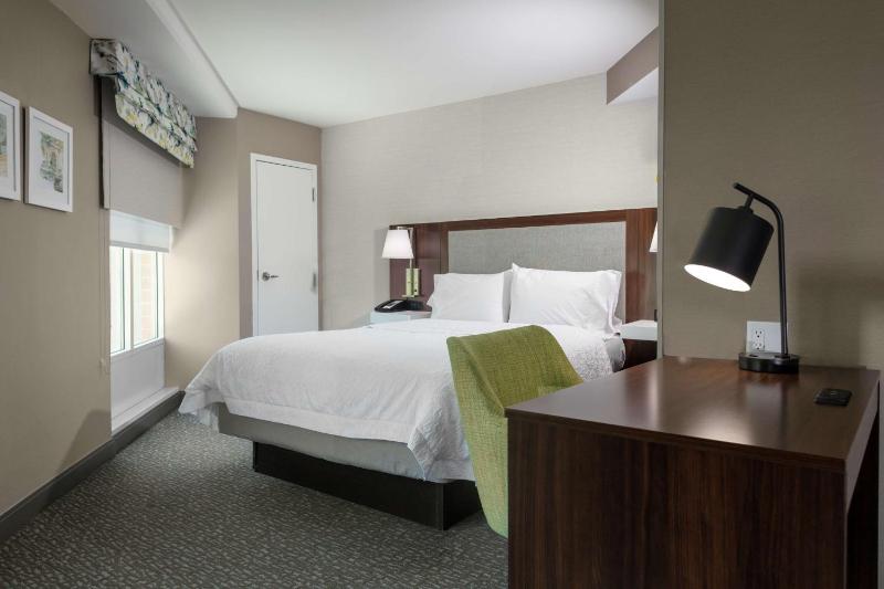 King Studio Suite image 3