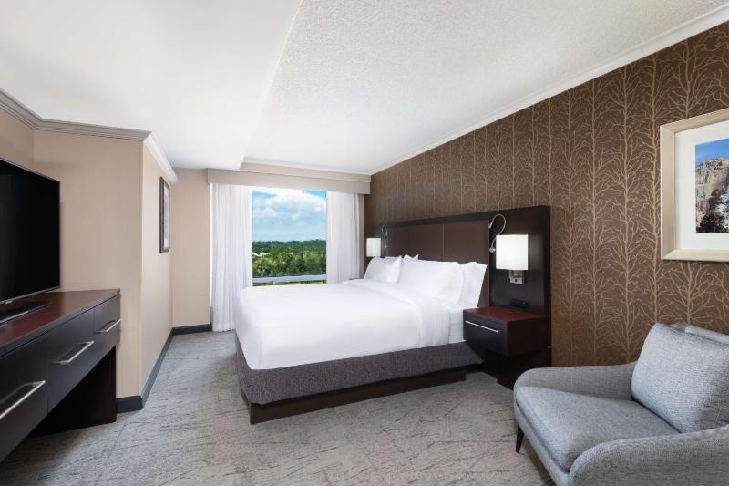 King Studio Suite image 1