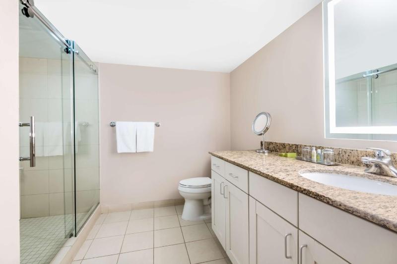 King Studio Suite image 2