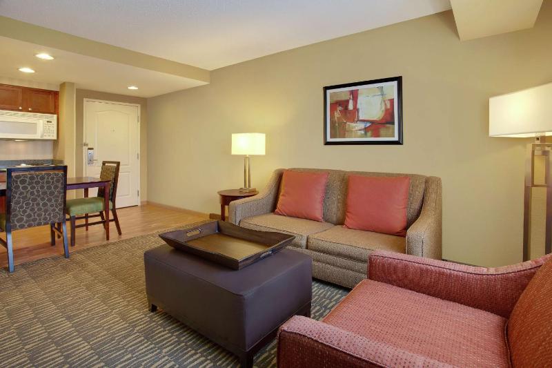 One-Bedroom King Suite - Non-Smoking image 1