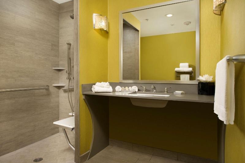 King Room with Roll-In Shower - Mobility Access image 2