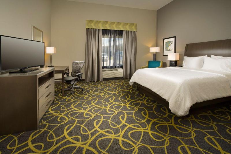 King Room with Roll-In Shower - Mobility Access image 3