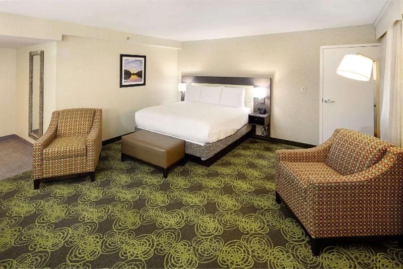 Deluxe King Room image 3