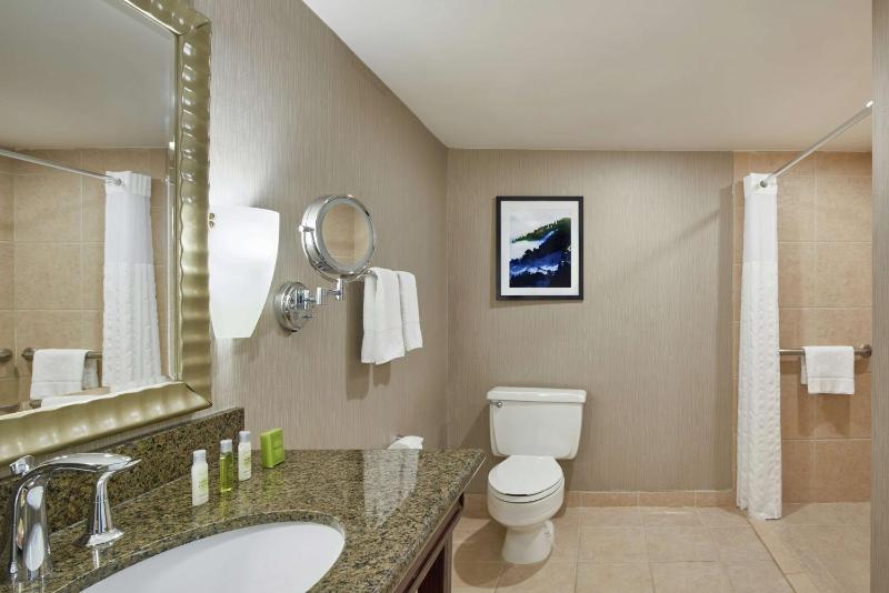 King Room with Roll-In Shower - Mobility/Hearing Accessible image 2