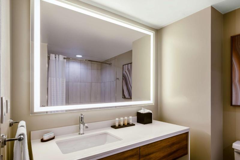 Premium King Suite image 2