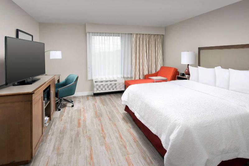 Hampton Inn By Hilton & Suites San Antonio Lackland AFB SeaWorld - image 4