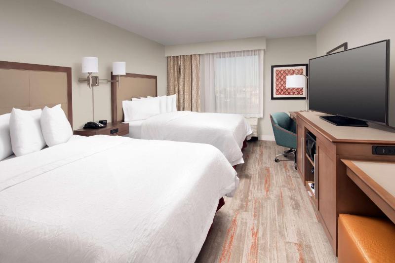 Hampton Inn By Hilton & Suites San Antonio Lackland AFB SeaWorld - image 18