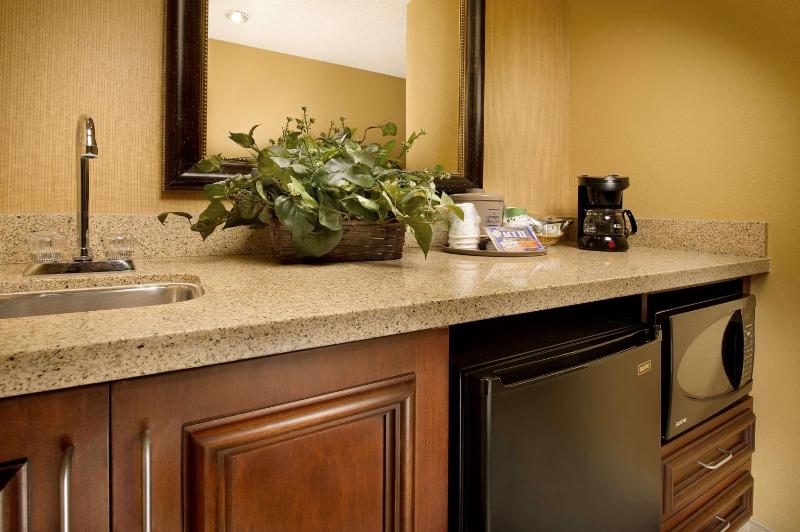 King Studio Suite - Non-Smoking image 3