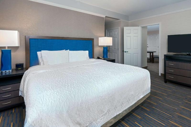 One-Bedroom King Suite - Non-Smoking image 4