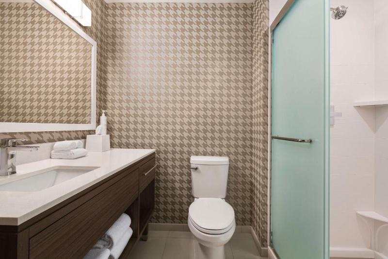 King Studio Suite image 2