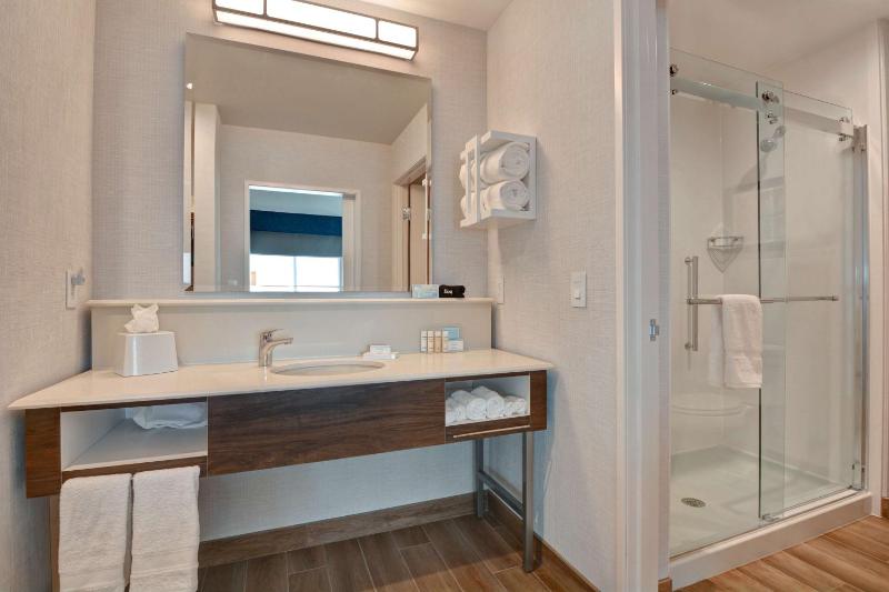King Studio Suite image 2