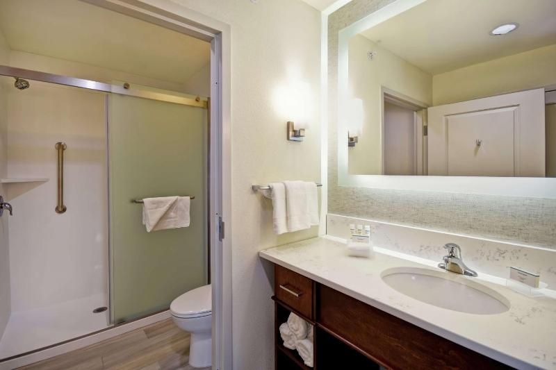 King Studio Suite - Non-Smoking image 3