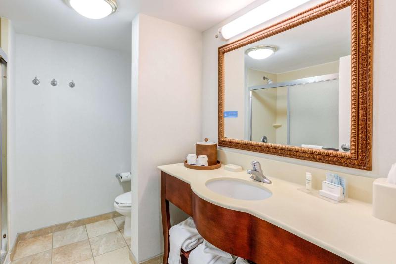 King Room with Shower - Non-Smoking image 2
