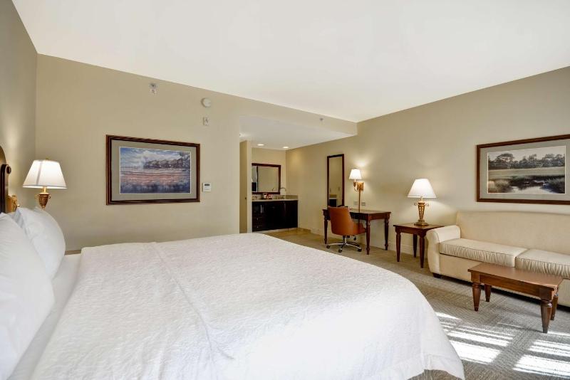 King Studio Suite with Sofa Bed - Non-Smoking image 1