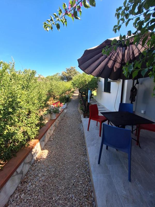 Duplex House - image 10