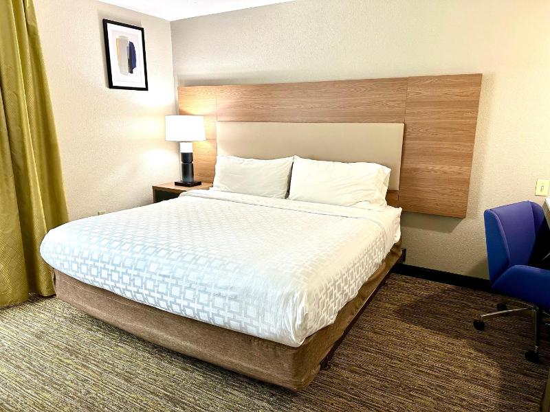 One-Bedroom Suite image 4