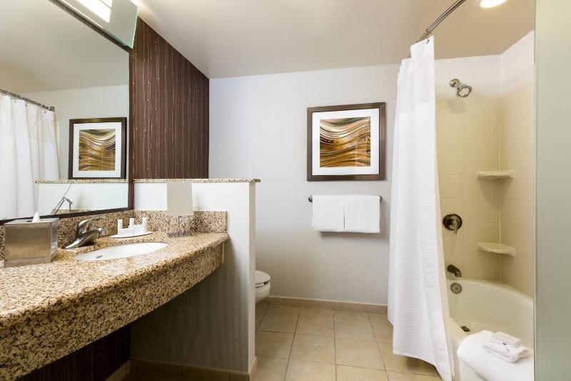 Courtyard by Marriott Houston by The Galleria - image 19