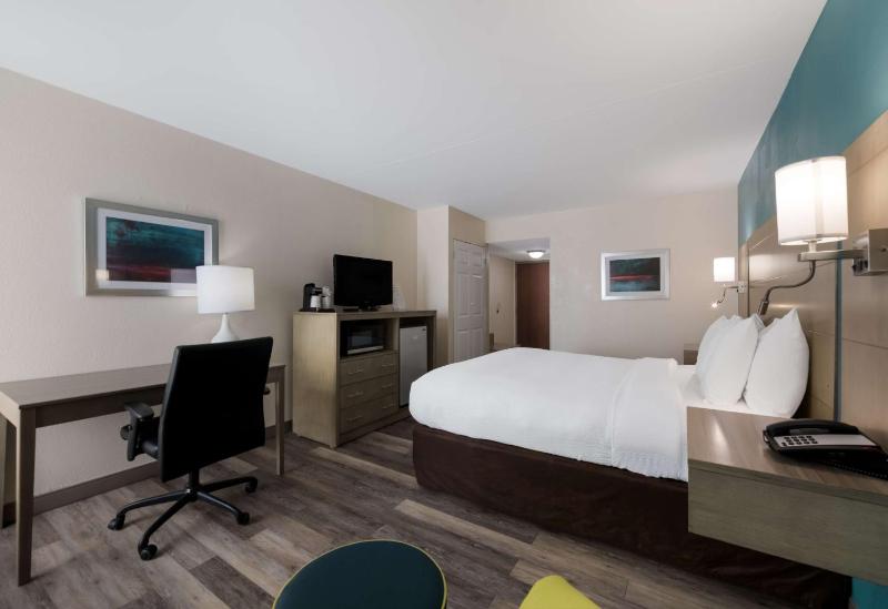 King Room - Non-Smoking image 4